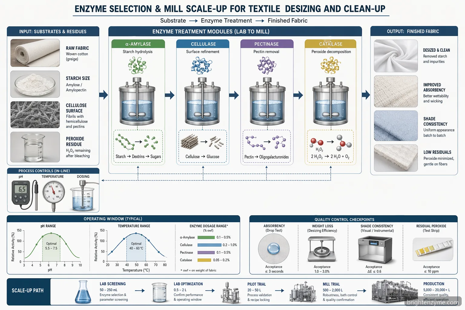 textile enzymes manufacturer in india process diagram mapping pH, temperature, dosage and fabric treatment outcomes